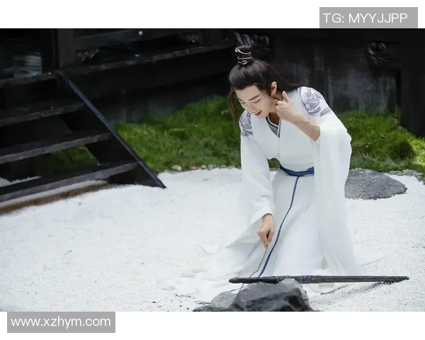 肖战波：从偶像到实力派的蜕变之路与未来展望